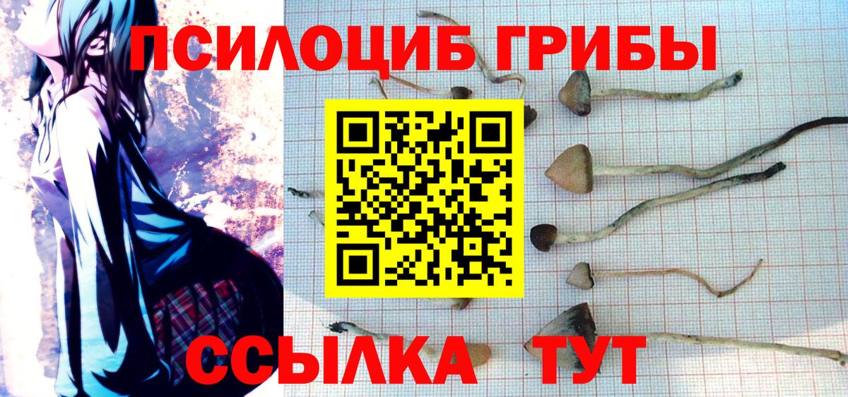 Псилоцибиновые грибы ЛСД  Вход с VPN  Асино  Галлюциногенные грибы Psilocybine cubensis 